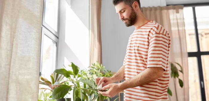 Houseplants Don’t Just Look Nice – They Can Also Give Your Mental Health A Boost