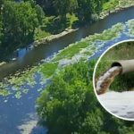 Michigan Plant Ignored Safety Alarm 460+ Times in 3 Hours as Toxic Chemical Leaked Into Huron River