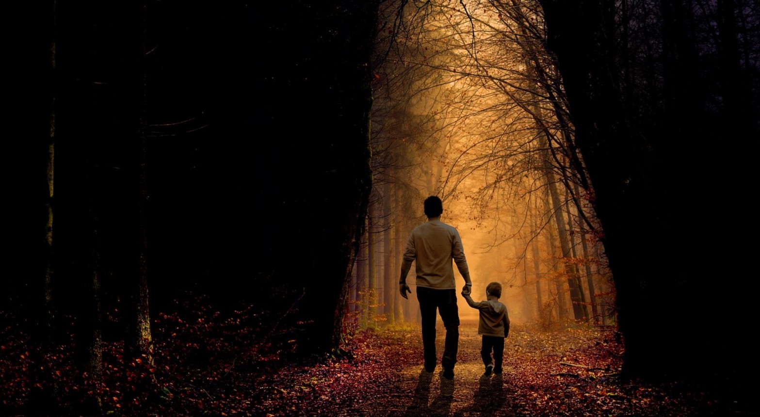 Why We Should Get Out In Nature More