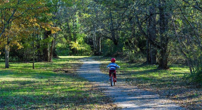 Average Child Spends Less Than an Hour a Day Doing Physical Activities, Parent Survey Shows