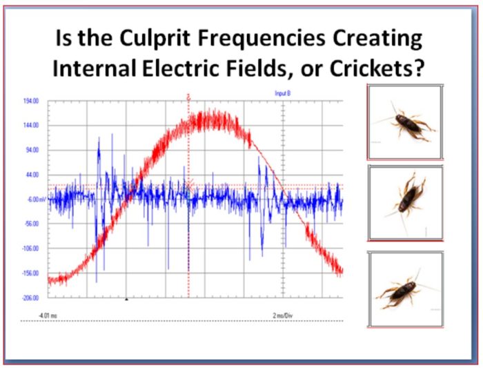 In Defense of Crickets Part 3 of 3; Havana Syndrome, Internal Electric Fields, Kilohertz Frequencies, Cell Signaling, & Sub-Carrier Waves