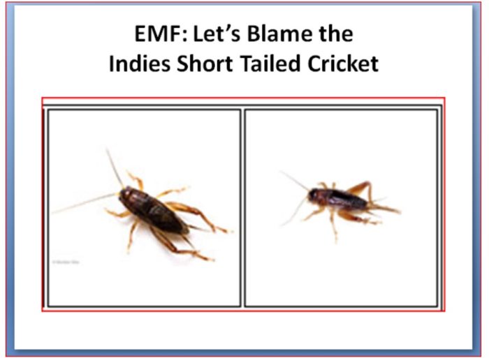 In Defense of Crickets, Part 1 of 3: Havana Syndrome, and Irradiation of Diplomats; 1950s, 1970s, 2000s