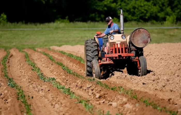 Lonely Harvest: Farmers Feel Unappreciated and Isolated in Modern Society