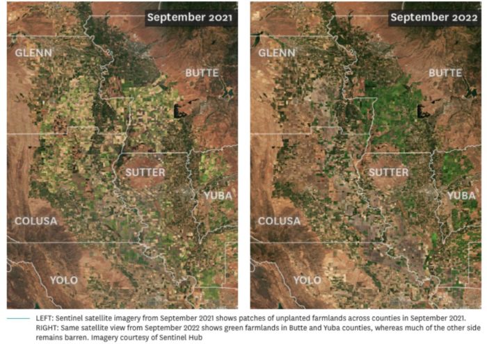 Satellite Image Reveals “Agriculture Wasteland” Across California’s Rice Capital