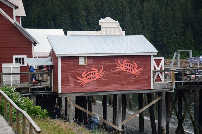 Alaska Snow Crab Season Canceled For First Time After Population Crash In Bering Sea