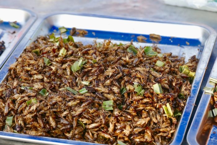 Major UK Supermarket Chain Planning To Sell Bugs As Food To Help Poor People Through Winter