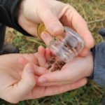 Multinational Agrichemical Corporations and the Great Food Transformation