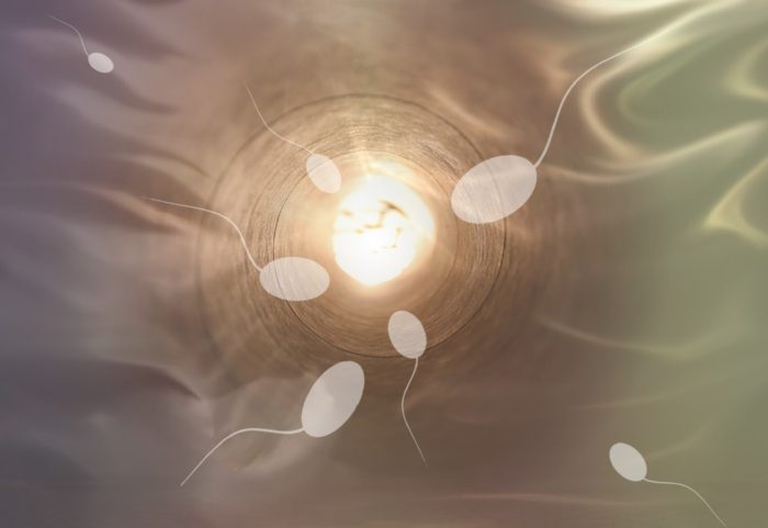 Declining Sperm Counts in Men Worldwide Could Threaten Future of Humanity, Study Warns