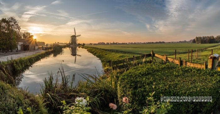 The Dutch Government Is About to Steal Farms Across the Netherlands
