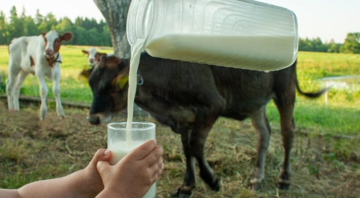 Missouri Bills Would Legalize Retail Sale of Raw Milk