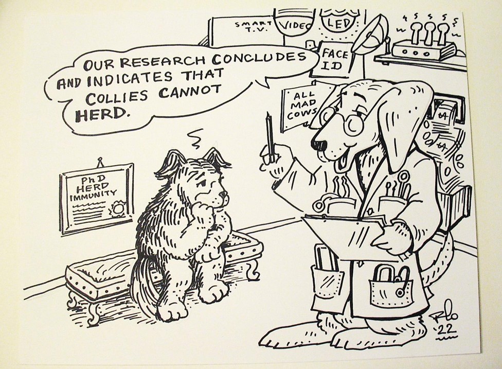 EMF/RF/5G “Science;” Why EMF Provocation Studies Should Be Halted: Un-scientific, Abuse of Human Rights, Enabler of Ecosystem Harm Res-flo