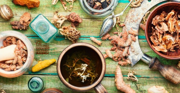 Herbs for Pain Management: A Prepper’s Herbal Medicine Cabinet