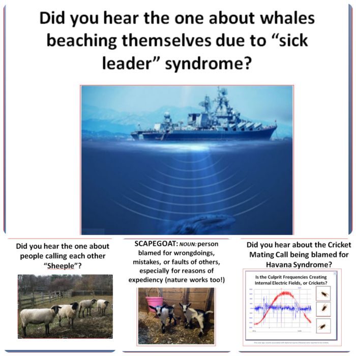 EMF/RF/5G Reassessing News of Whale Beaching, Alzheimer’s Brain Plaque, and “Sick Leader” Syndrome