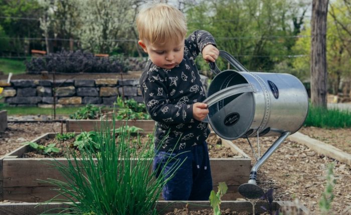 Why Gardening Could Save Your Life: Having a Green Thumb Could Keep Cancer Away, Benefits Mental Health