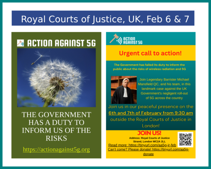 UK Update: Feb 6 &7 Action Against 5G Court Case