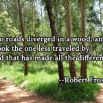 Which Path Will You Choose in 2023?