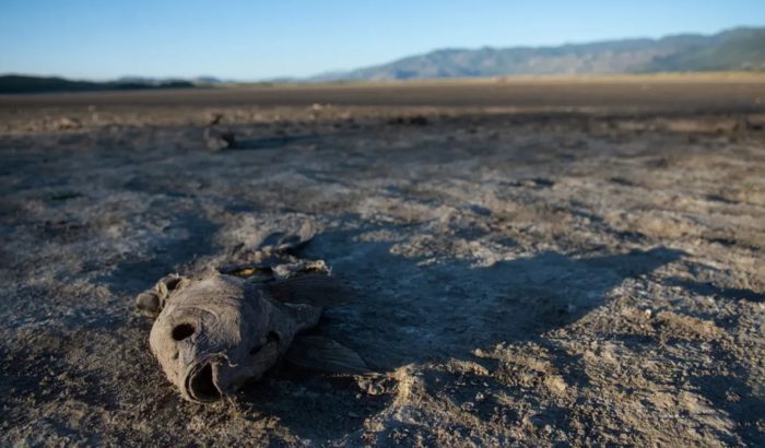 Scientists Fear Impending “Environmental Nuclear Bomb” From Drying Great Salt Lake