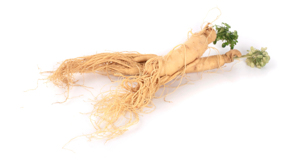 Ginseng Provides Natural Help for Hair Loss