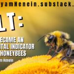 Tilt: How I Became An Environmental Indicator Like The Honeybees