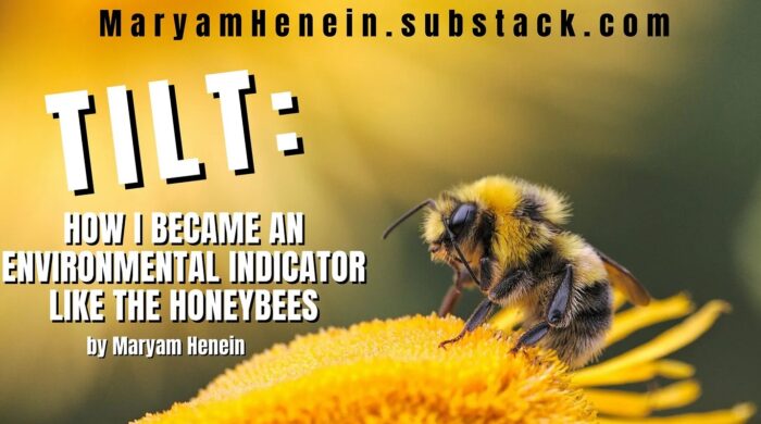 Tilt: How I Became An Environmental Indicator Like The Honeybees