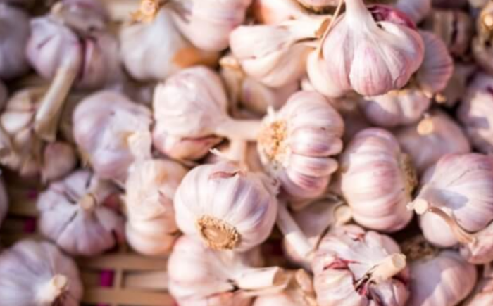 5 Health Benefits Of Garlic — How This Ancient Plant Protects Your Body