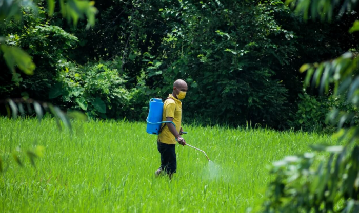 Disturbing Link Discovered Between Popular Weed Killers and Child Brain Dysfunction