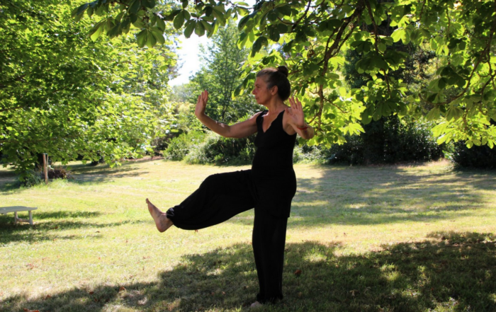 Practicing Tai Chi Can Slow Parkinson’s Disease Symptoms for Years, Study Reveals