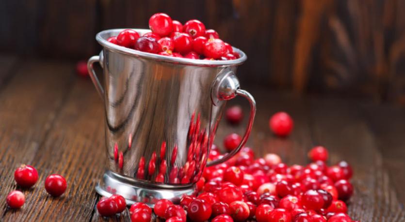 Cranberry extracts can revitalize gut health in just 4 days