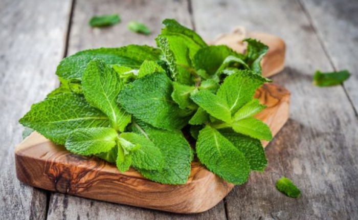 The Power of Peppermint: 15 Health Benefits Revealed