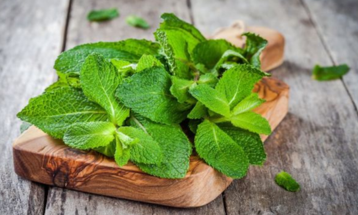 The Power of Peppermint: 15 Health Benefits Revealed