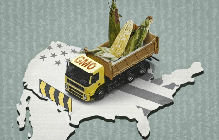 The US-Mexico Dispute Over GM Corn Safety Could Transform American Agriculture