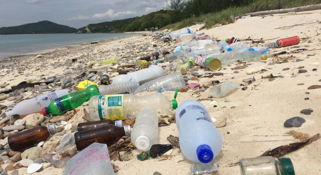 Beverage giants Coke and Pepsi driving worldwide plastic crisis, study ...