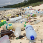 Beverage giants Coke and Pepsi driving worldwide plastic crisis, study claims