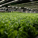 Tennessee Lawmakers Pass Bill Targeting mRNA Vaccines In Food