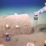 Fish off Los Angeles coast still contaminated with infamous chemical banned 52 years ago